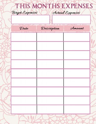 P4L My Life Planner This Months Expenses